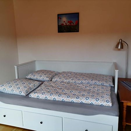Appartement Et Terrasse Privee Ingolsheim 外观 照片