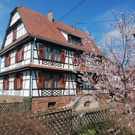 Appartement Et Terrasse Privee Ingolsheim 外观 照片