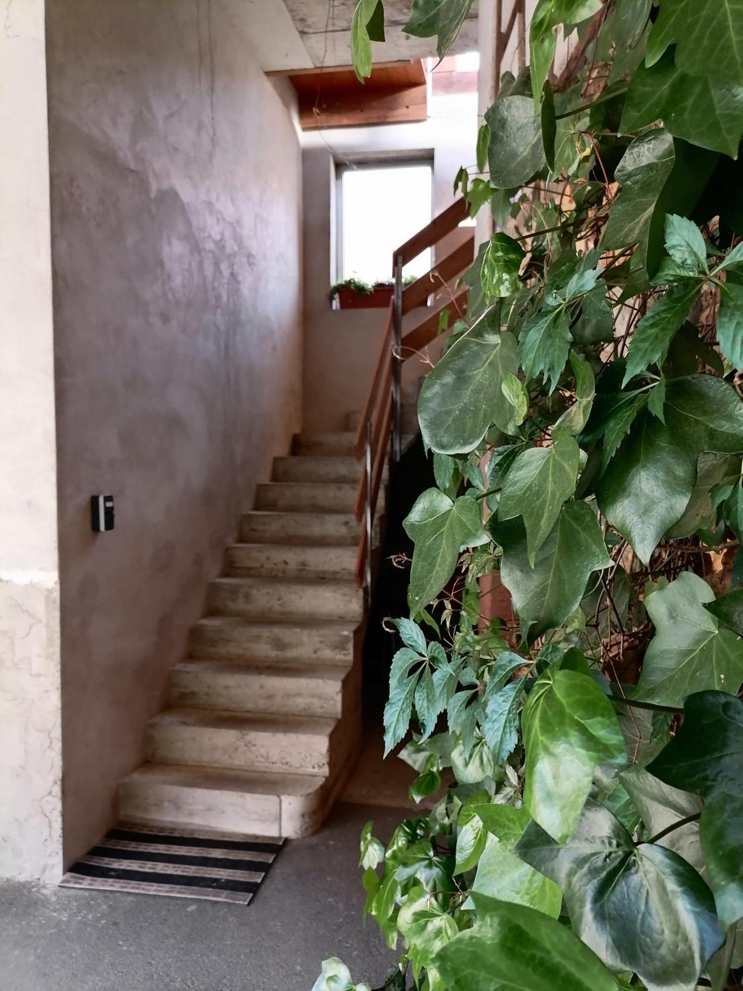 Appartement Et Terrasse Privee Ingolsheim 外观 照片